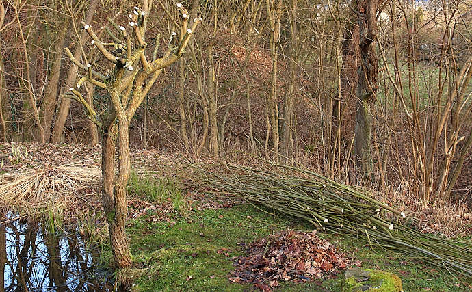 Grünanlagenpflege